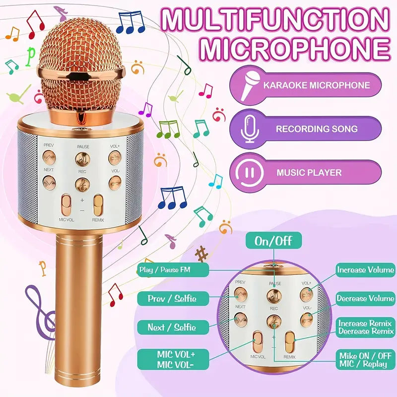 Portable BT Wireless Karaoke Microphone Speaker