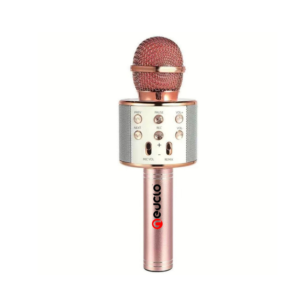 Portable BT Wireless Karaoke Microphone Speaker